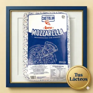 Queso Mozzarella Castelar Plancha x 10 kg